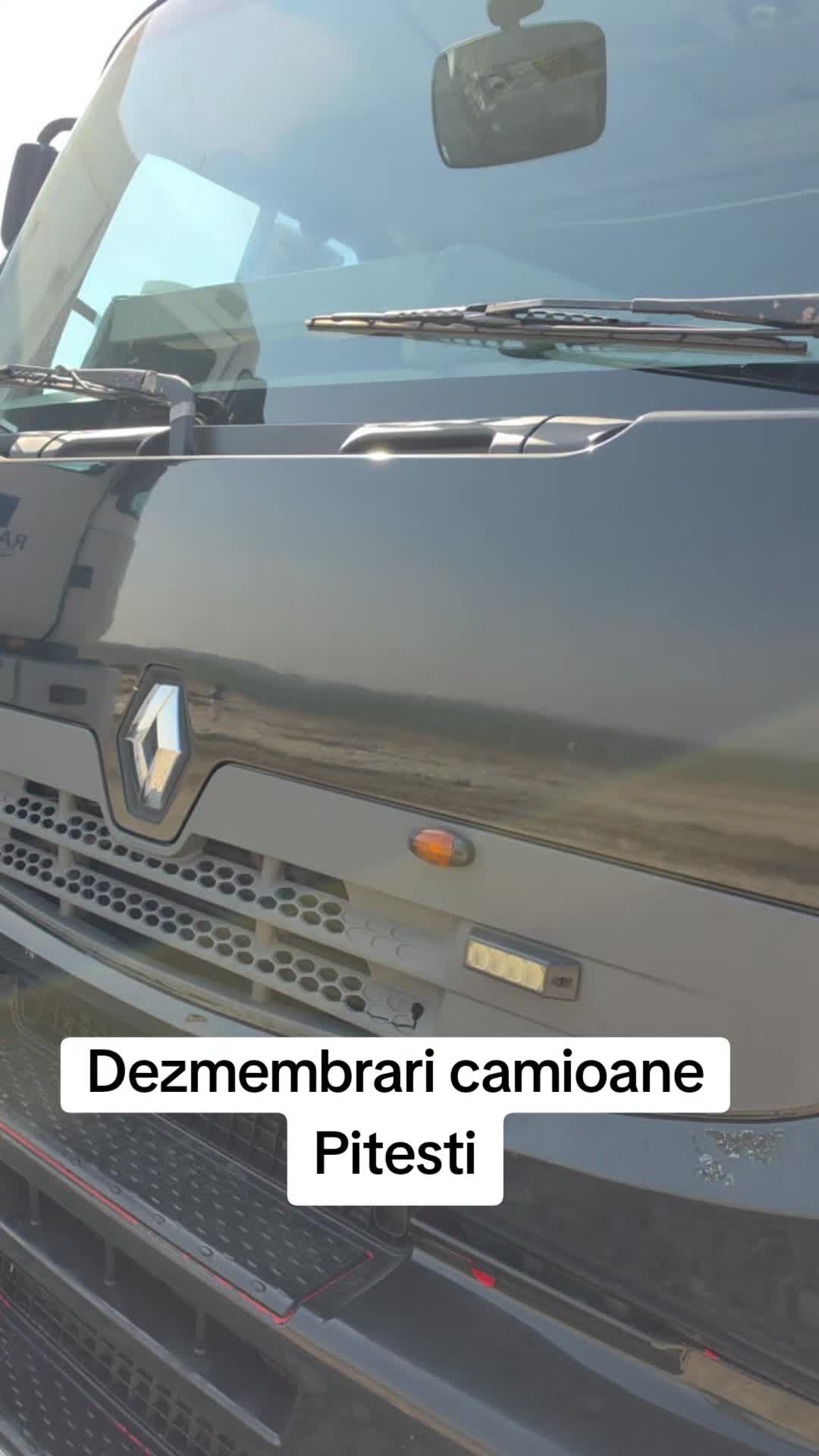 @Cătălina 👑