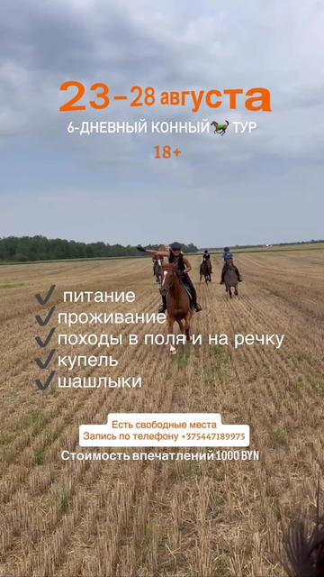 @КК "Фриз"🏇