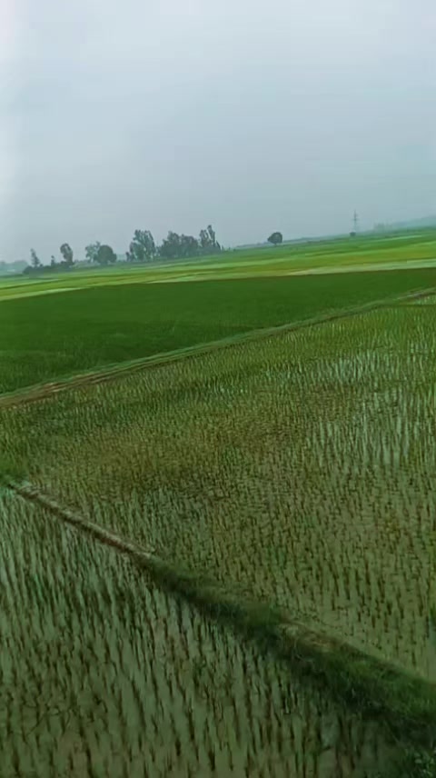 @Wali Khan up-44
