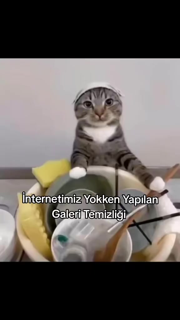 @Furkann27