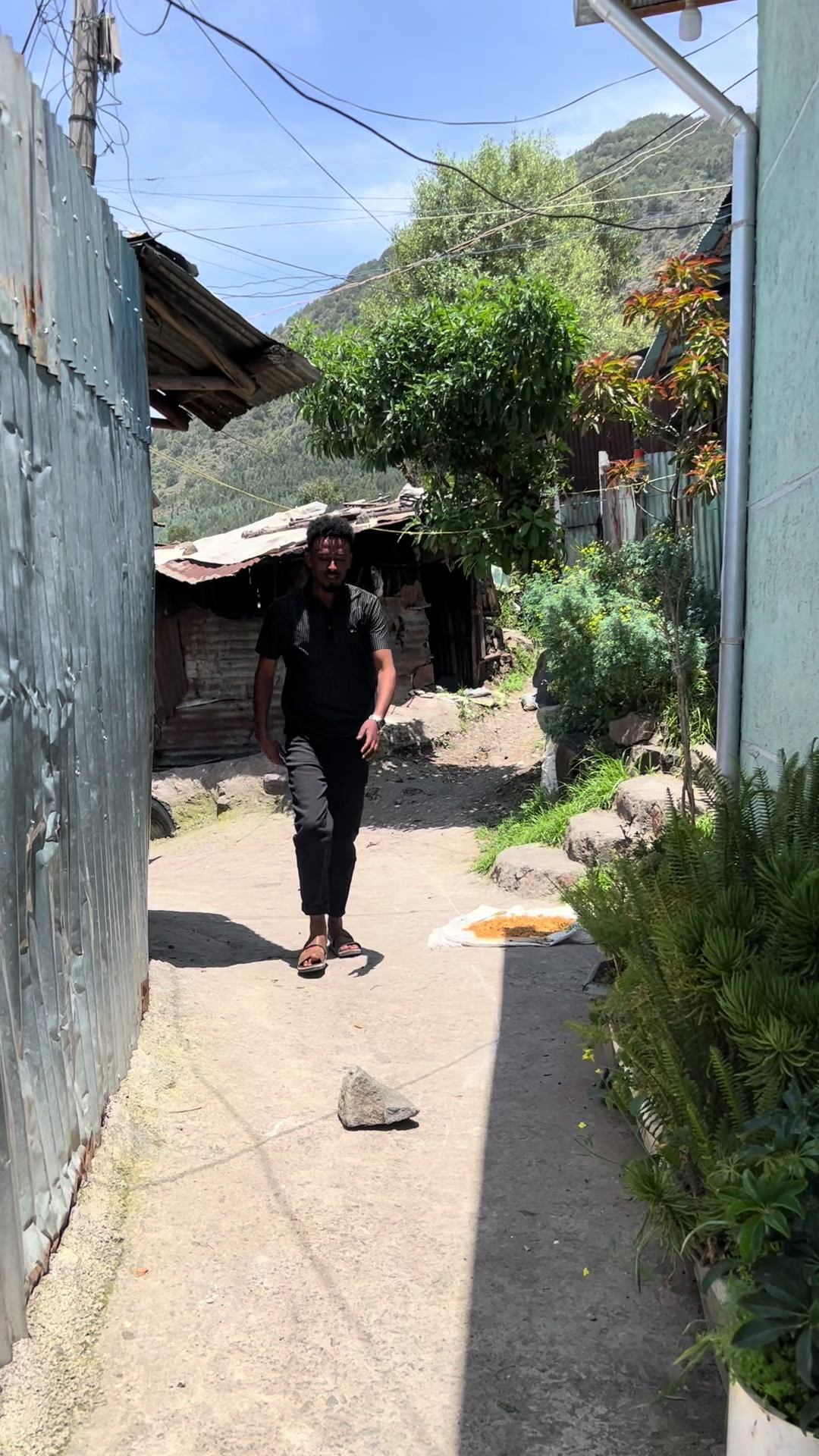@Amanye አኮሌ