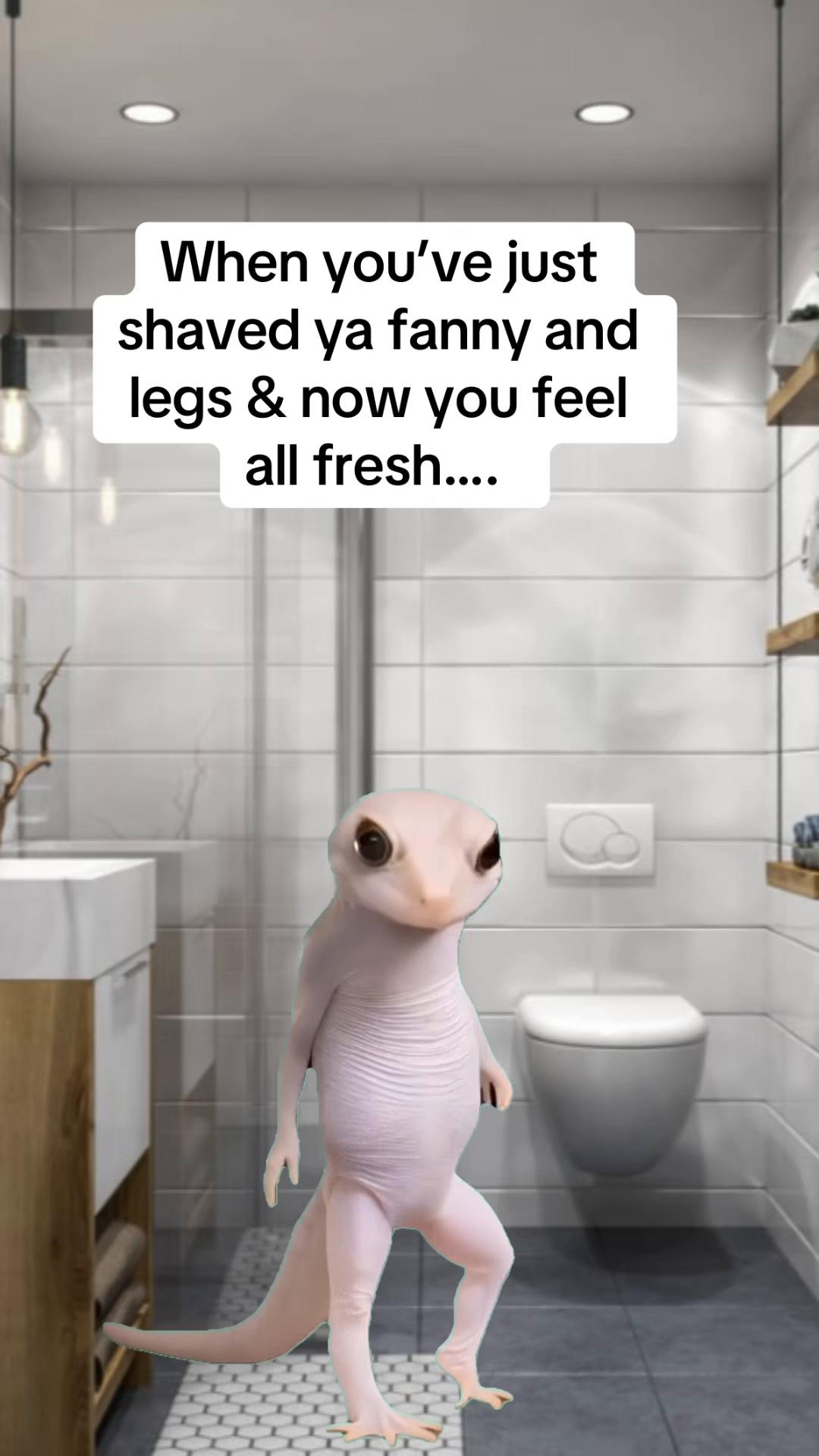 @𝓐𝓲𝓮𝓼𝓱𝓪 𝓙𝓮𝓪𝓷𝓮𝓽𝓽𝓮