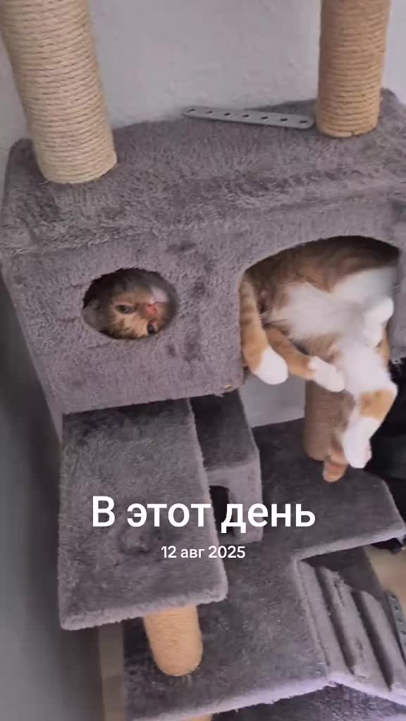 @Виктор Олишевич
