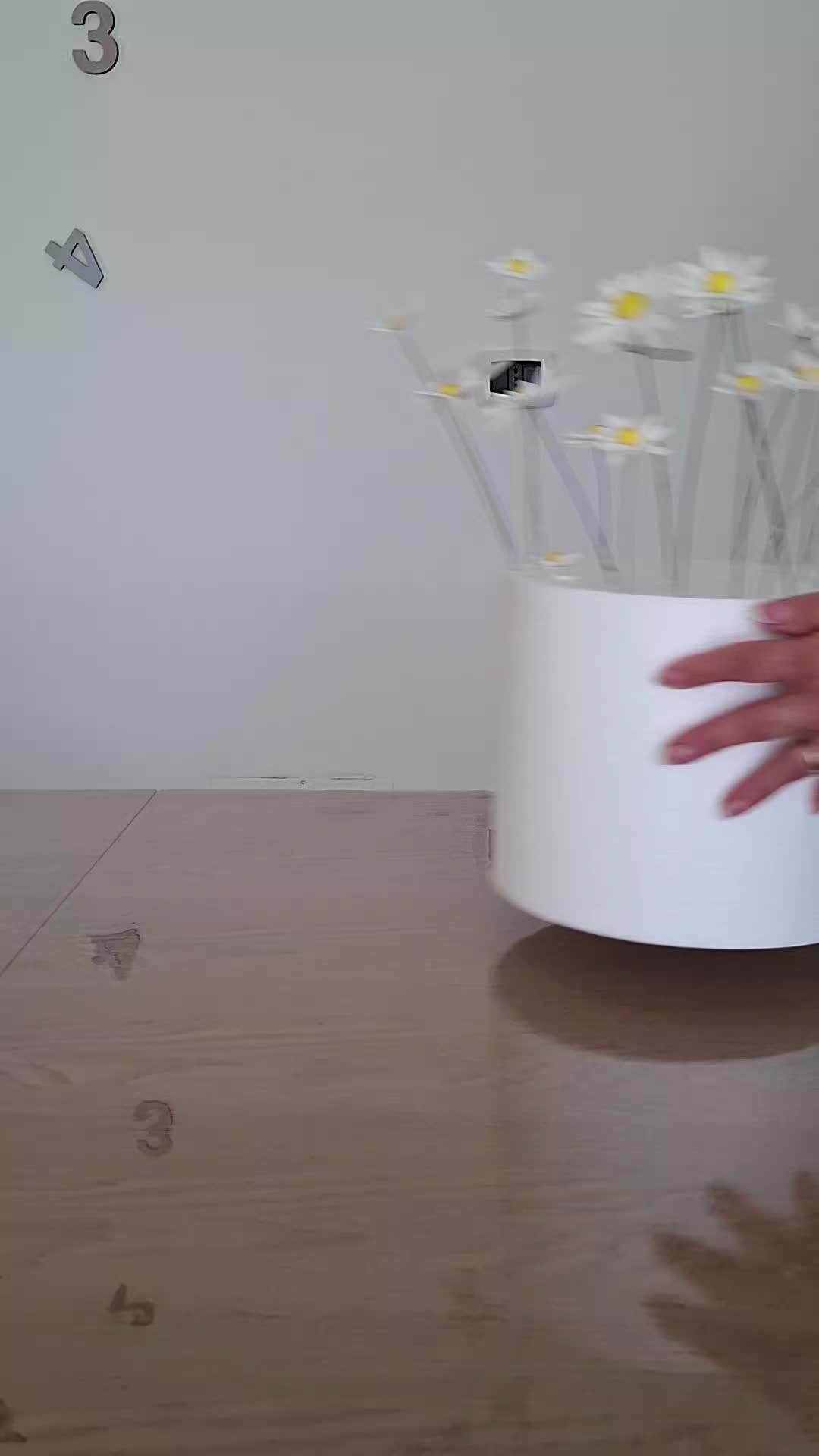@rosa barbieri