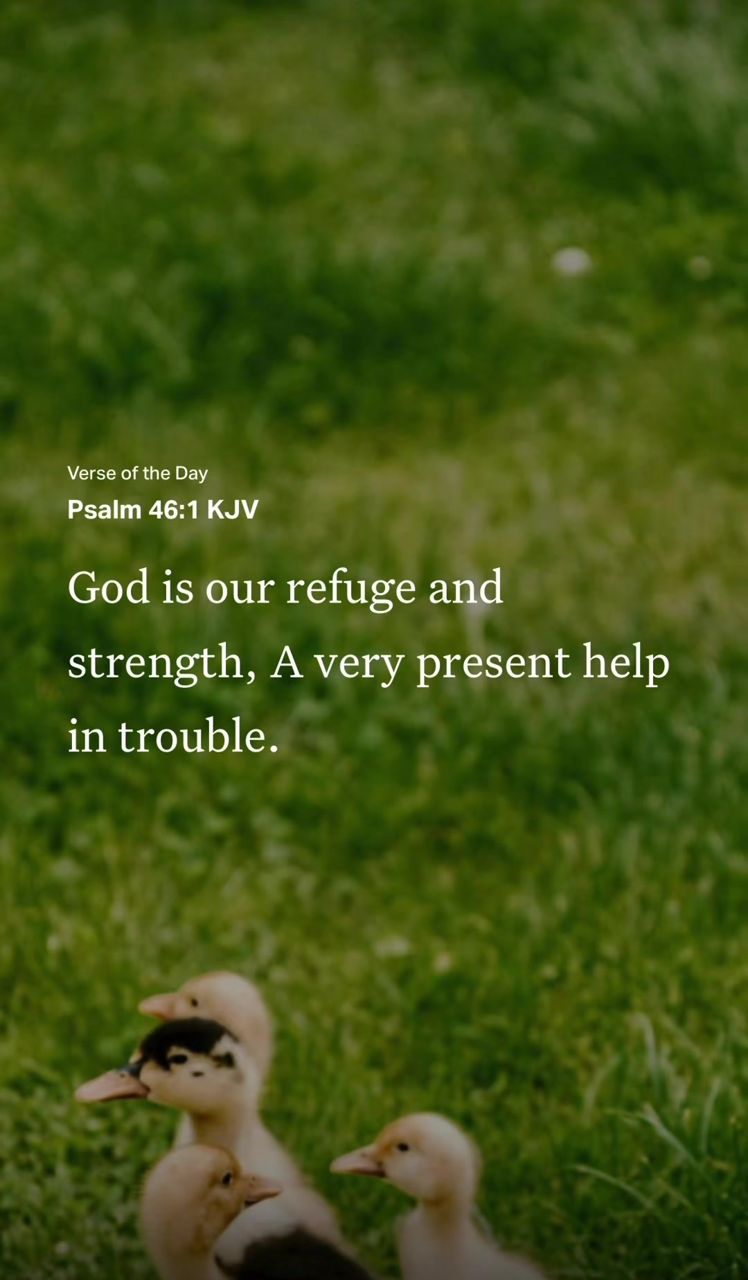 @VoiceOfScripture