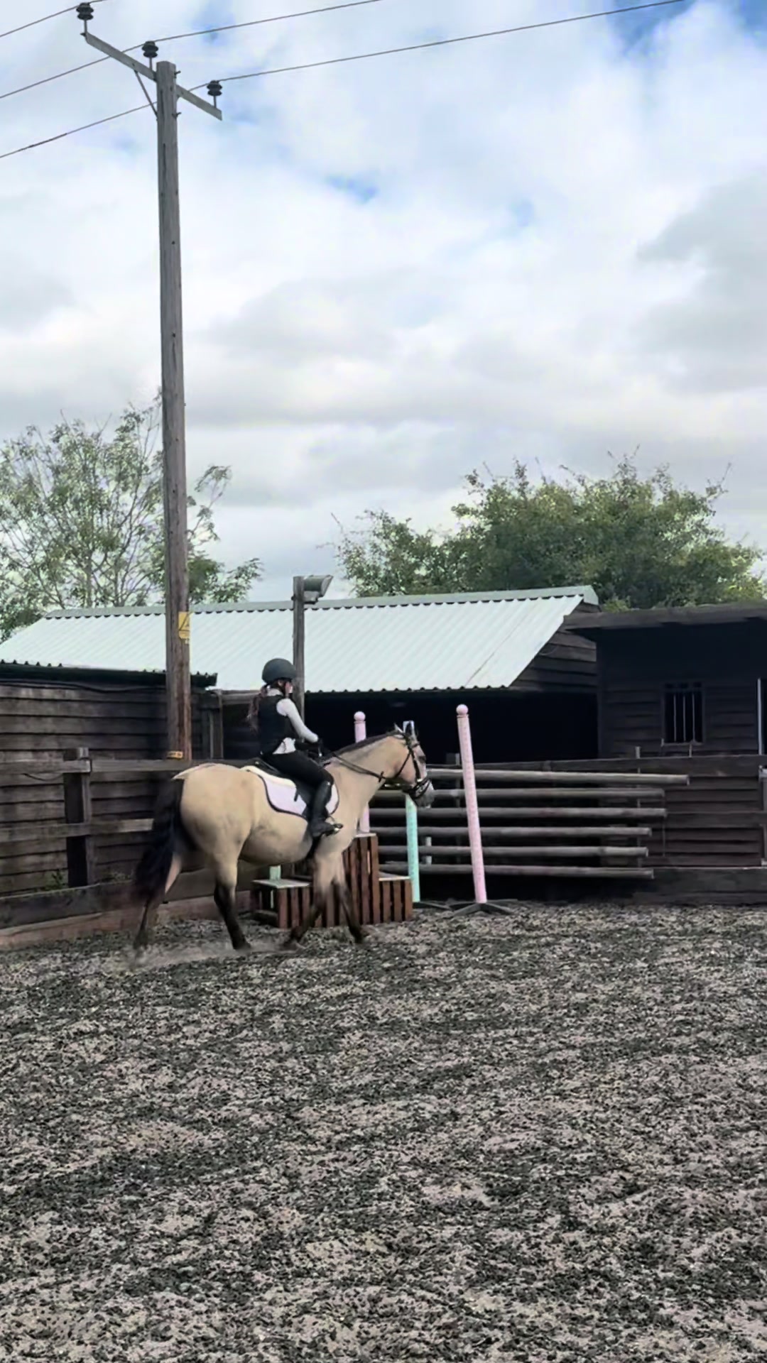@Bronte&Alfie🍳🤎🐴