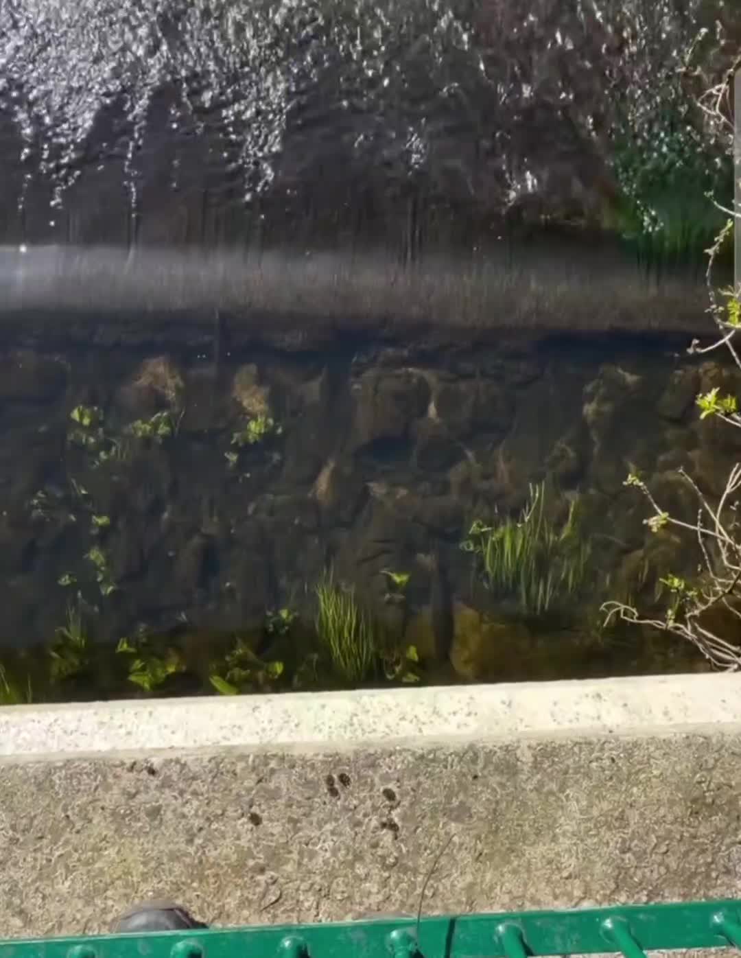 @fishing