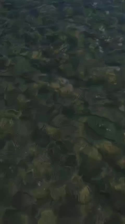 @Francesca Mazzotta