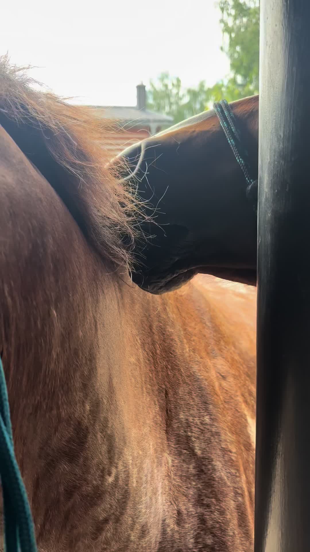 @𝐤𝐚𝐭𝐤𝐚 ♡ 𝐬𝐩𝐢𝐤𝐞