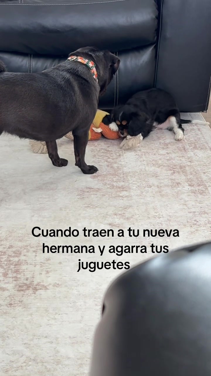 @Esmeralda💕