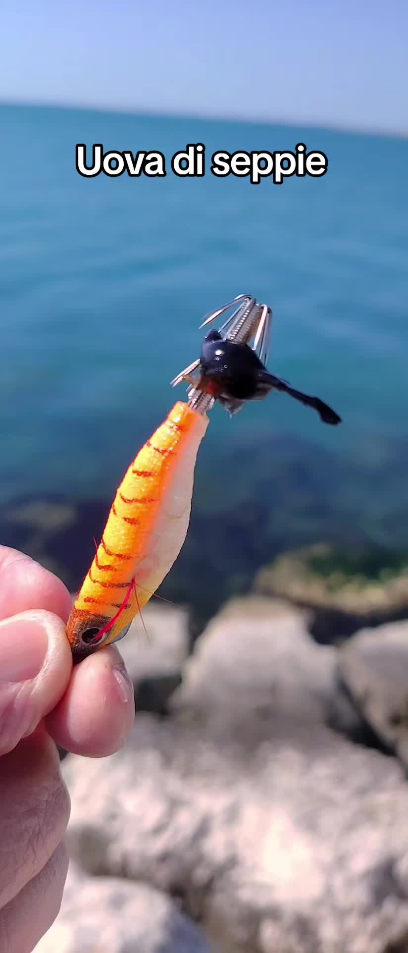 @🎣 maurizio 🇮🇹