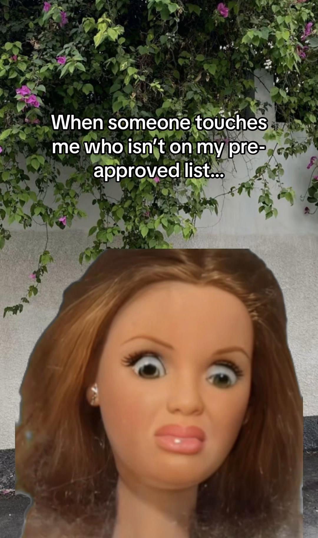 @littleneuropixie