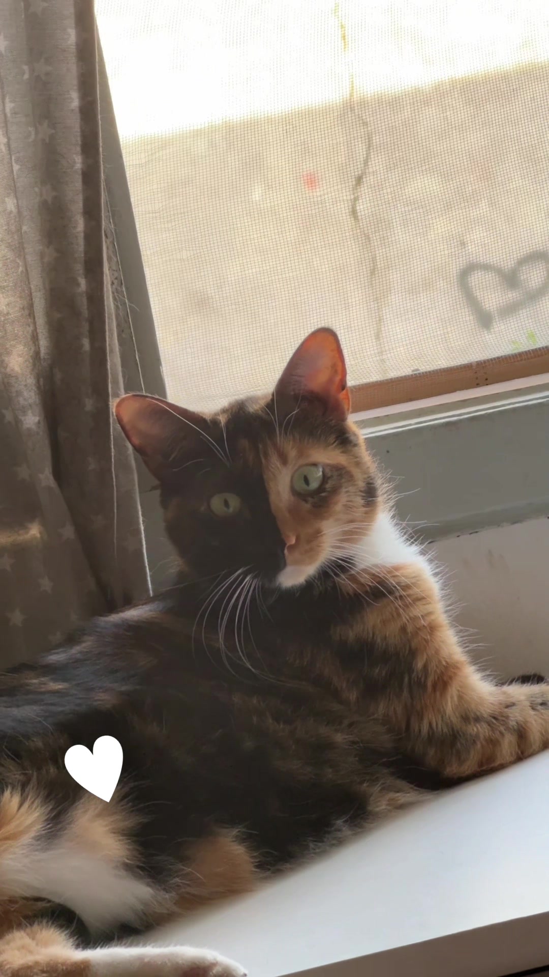 @kiki 🐈⬛