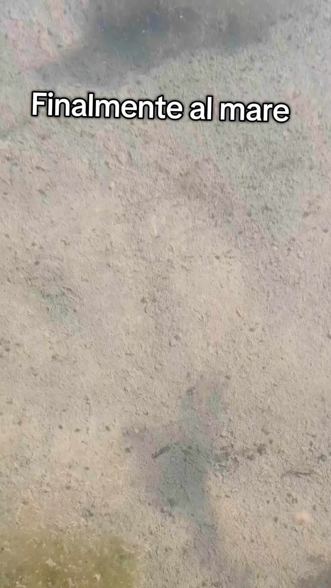 @Kekko Iacoviello