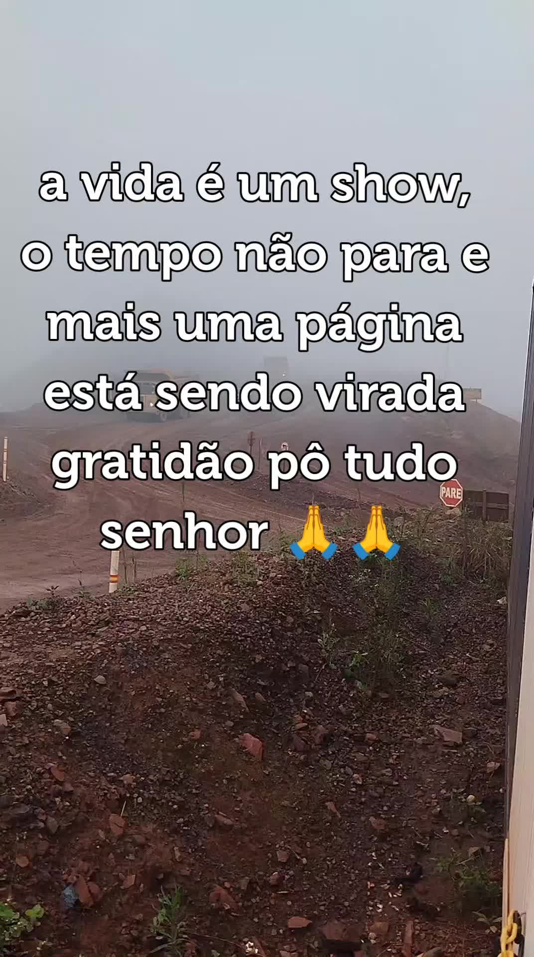 @franciscofarias278