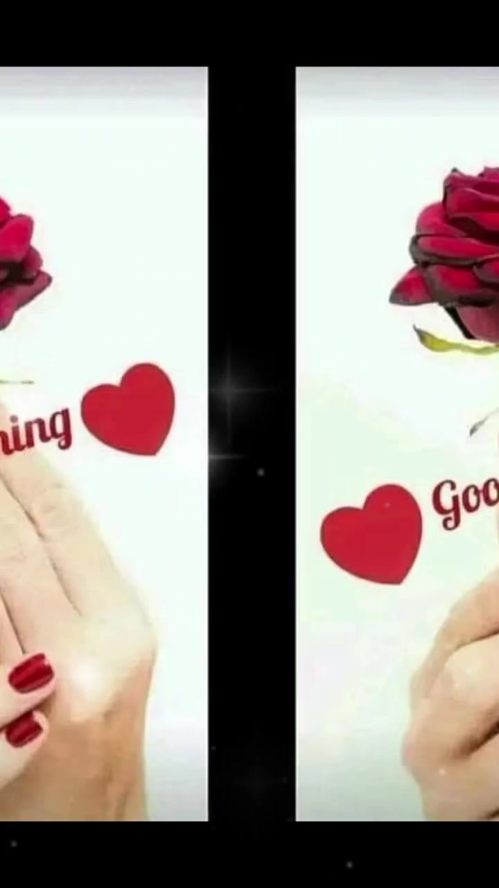 @Alizeey noor❤