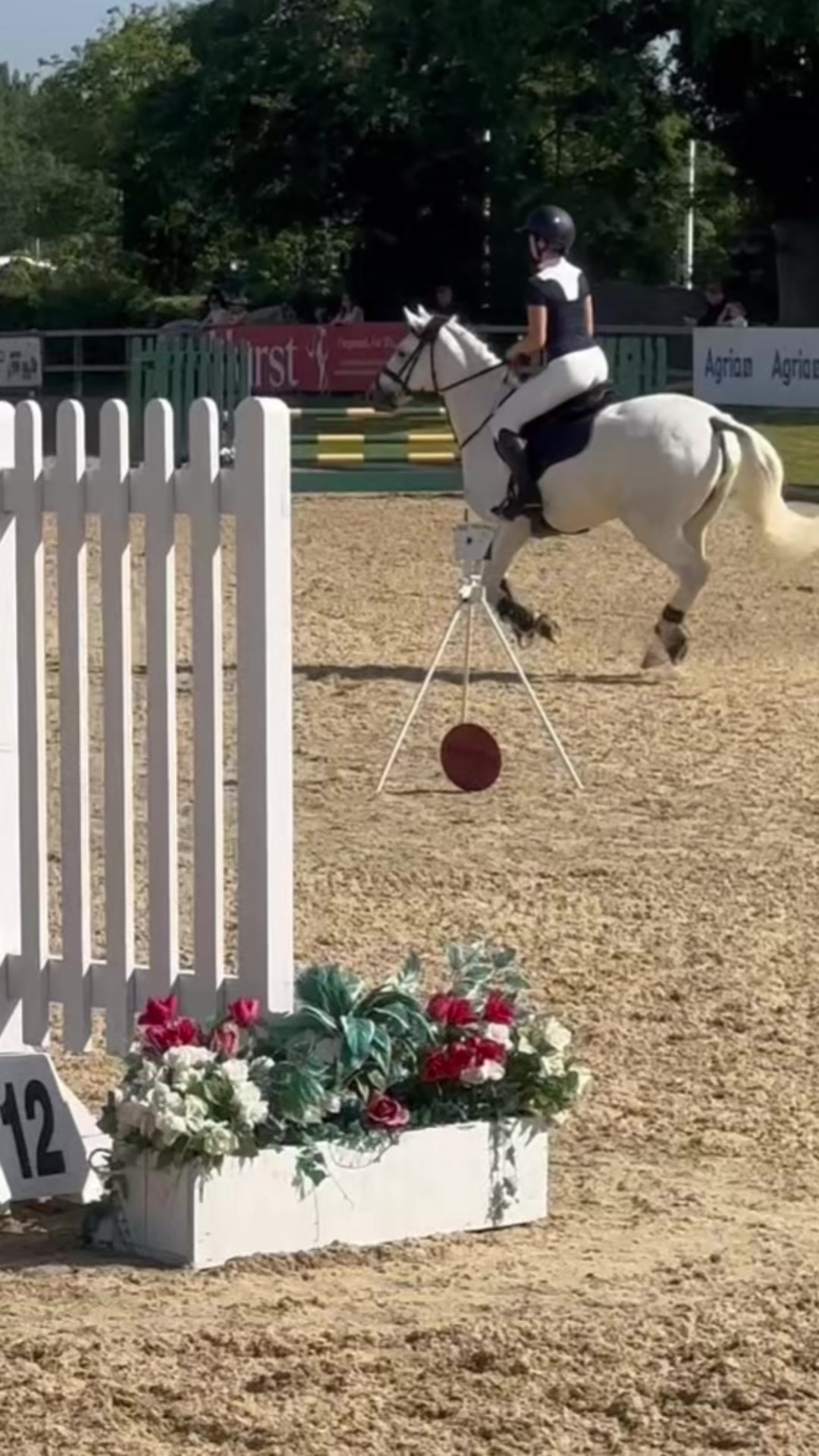@amelia_showjumping2