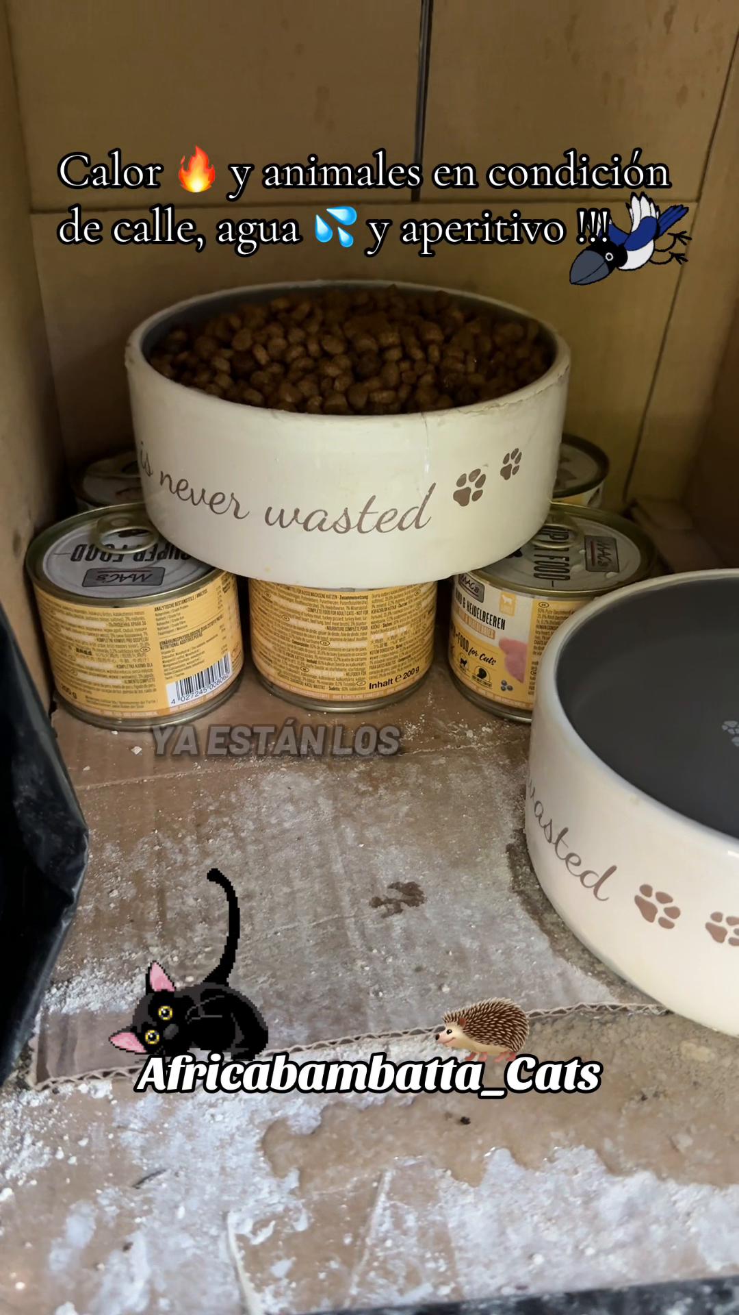 @PompeyayCat