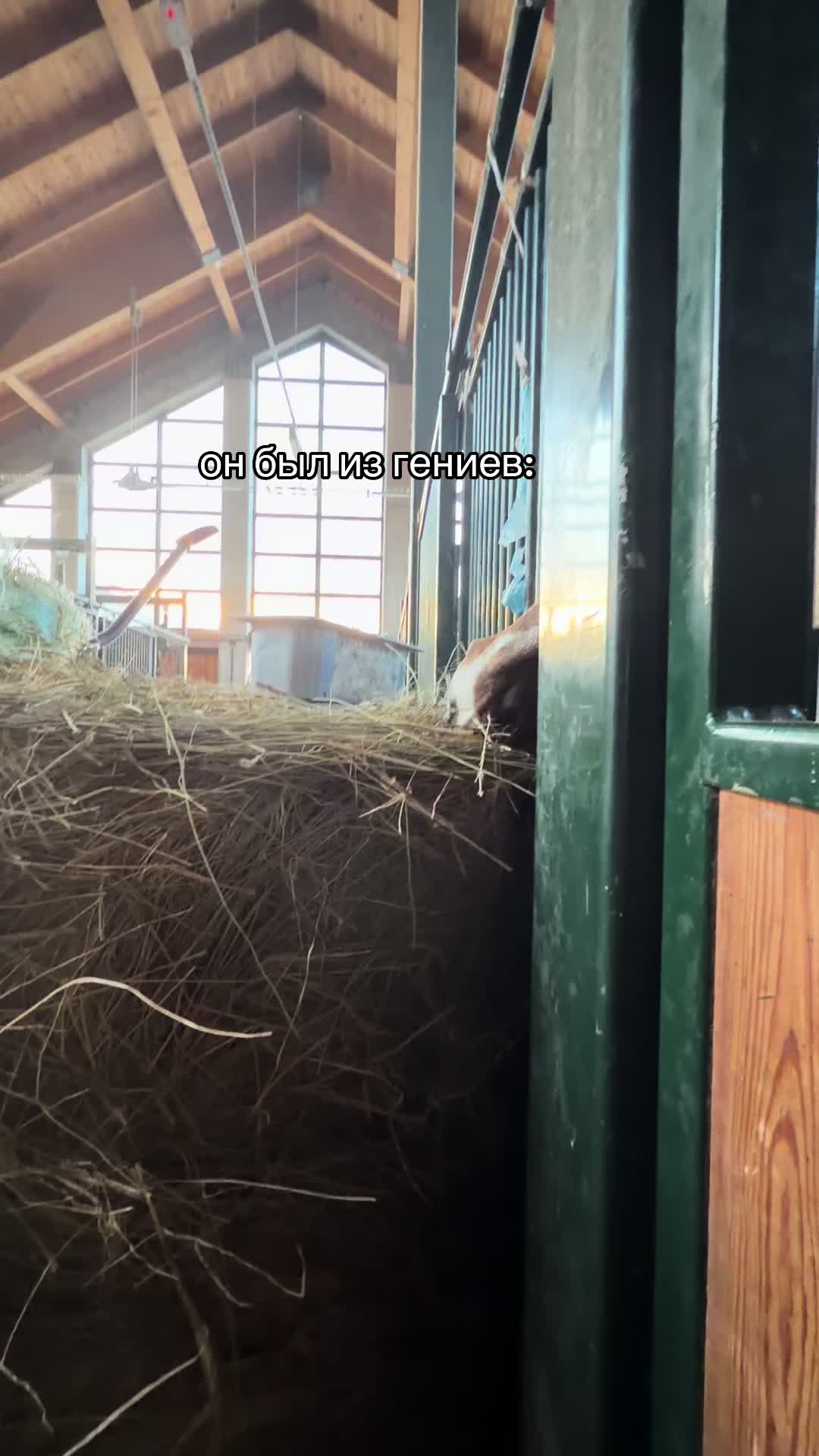 @𝐦𝐨𝐫𝐤𝐨𝐯𝐧𝐢𝐜𝐚🥕 ྀིྀ