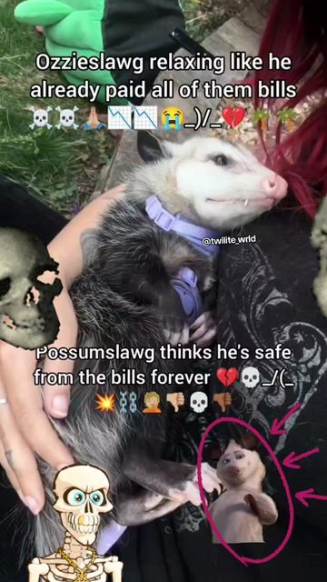 @Bro 🇫🇮💀✅