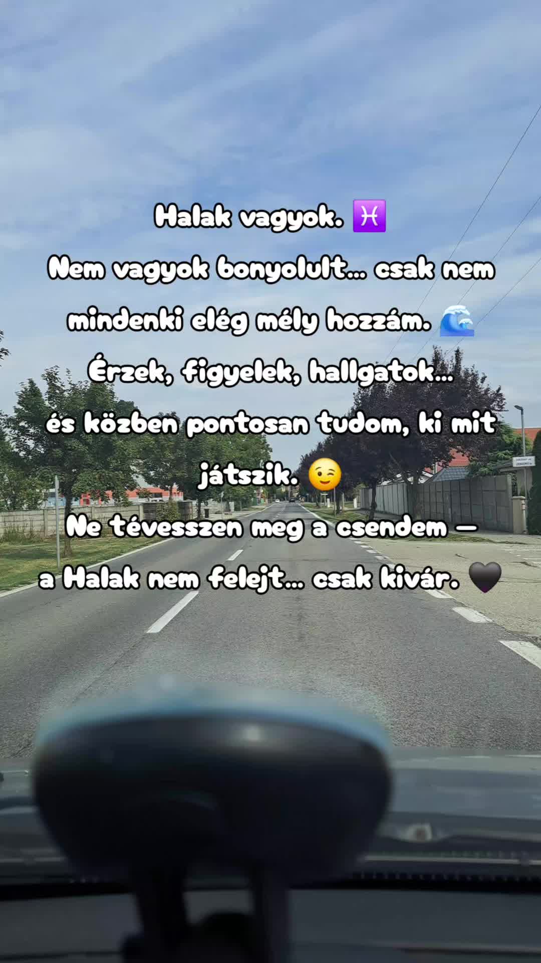 @👑Picisárika👑