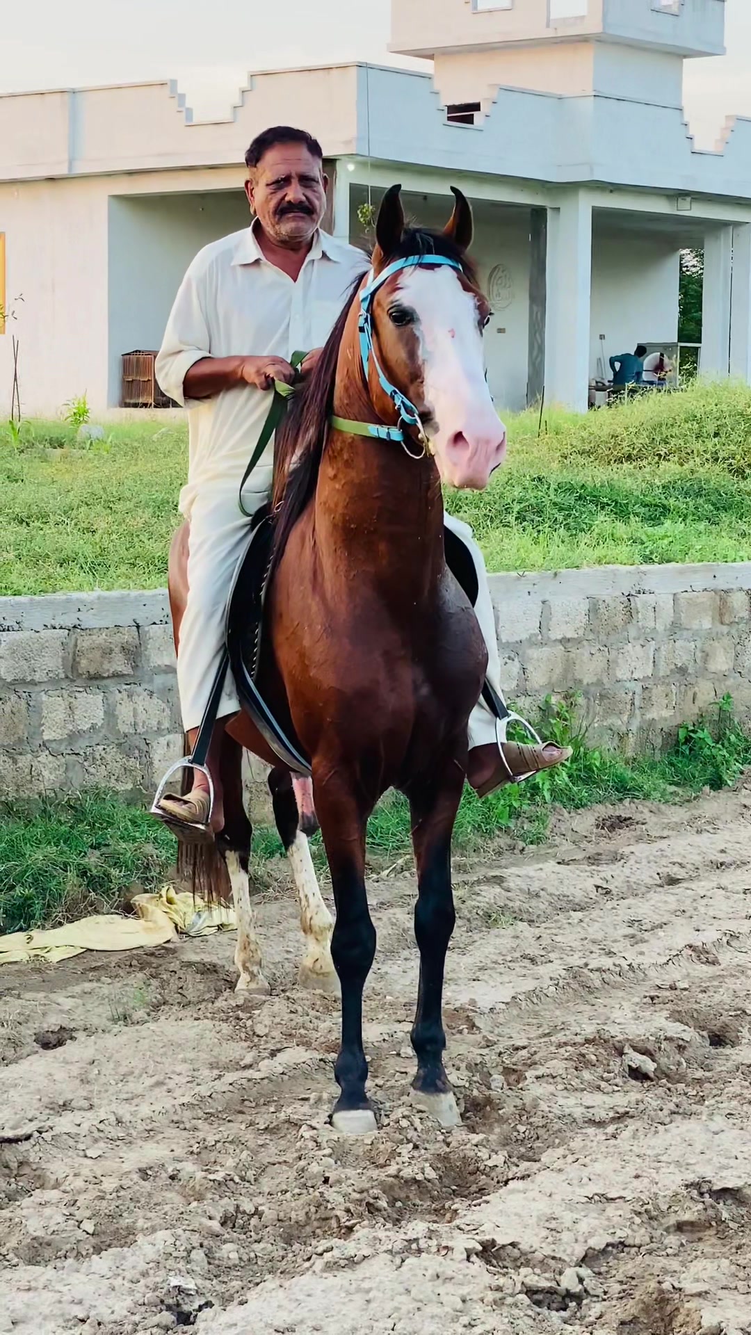 @Ch Hammad bokan &hearts;️🐎