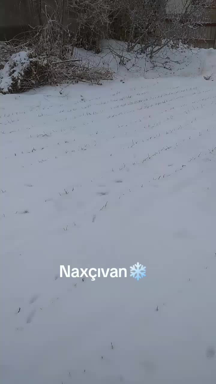 @Həsənova