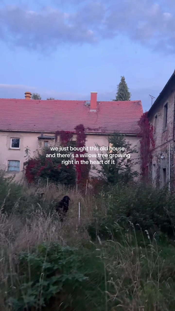 @elma