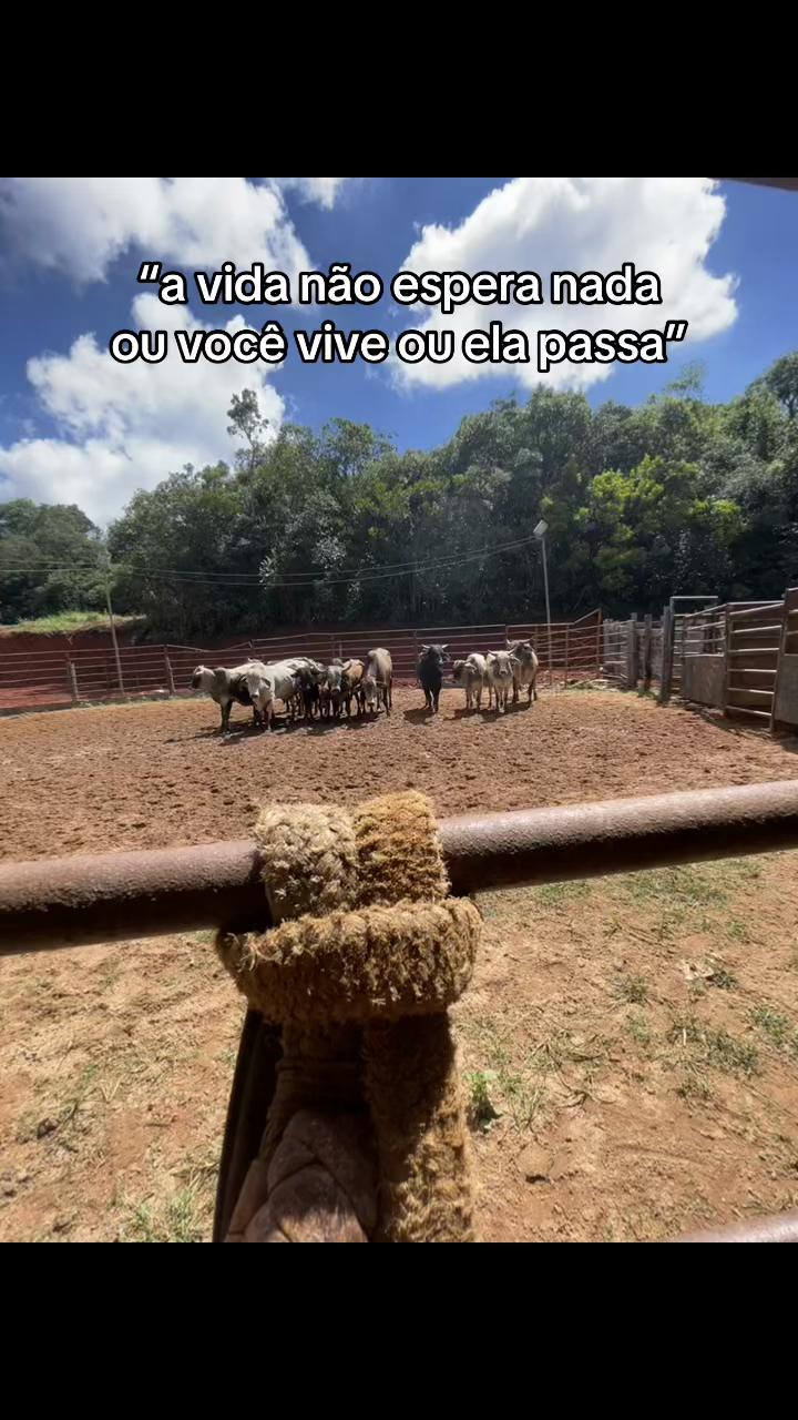 @marley cristian