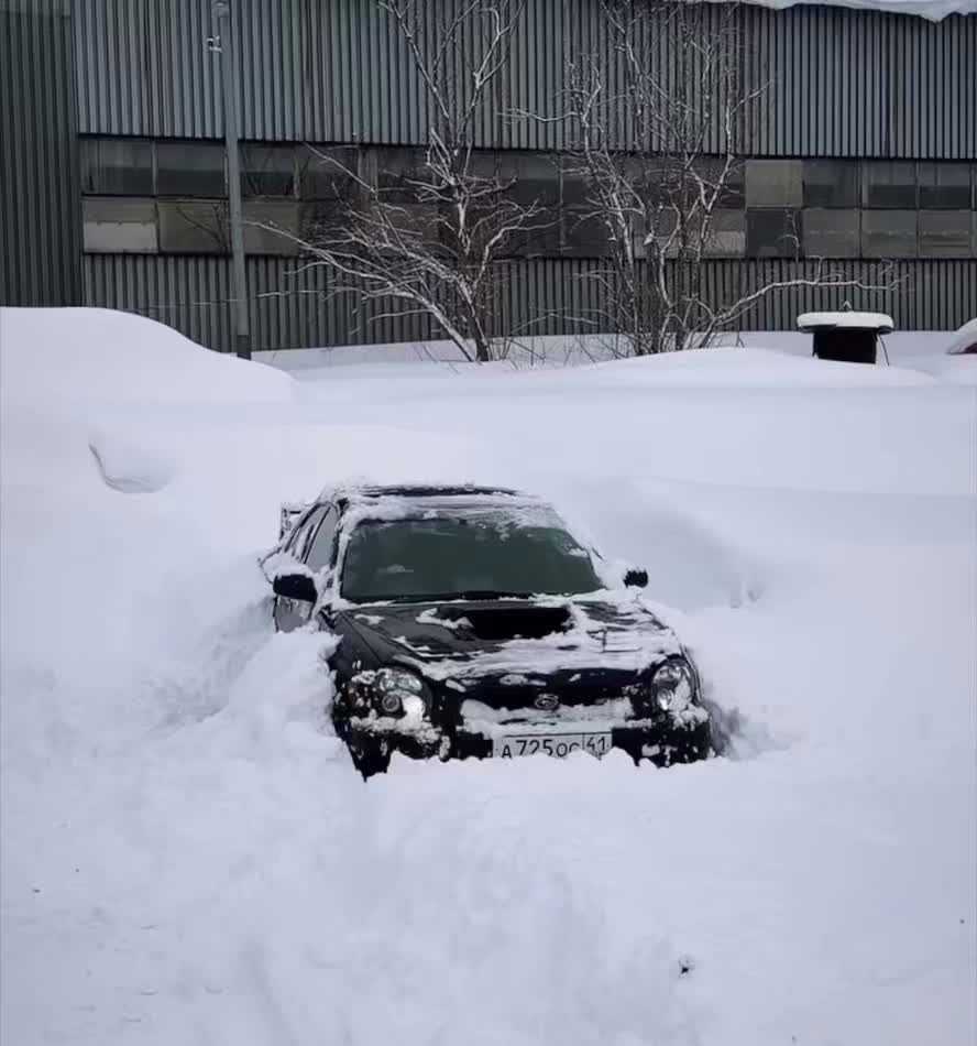 @subaru_wrx_stibilloir
