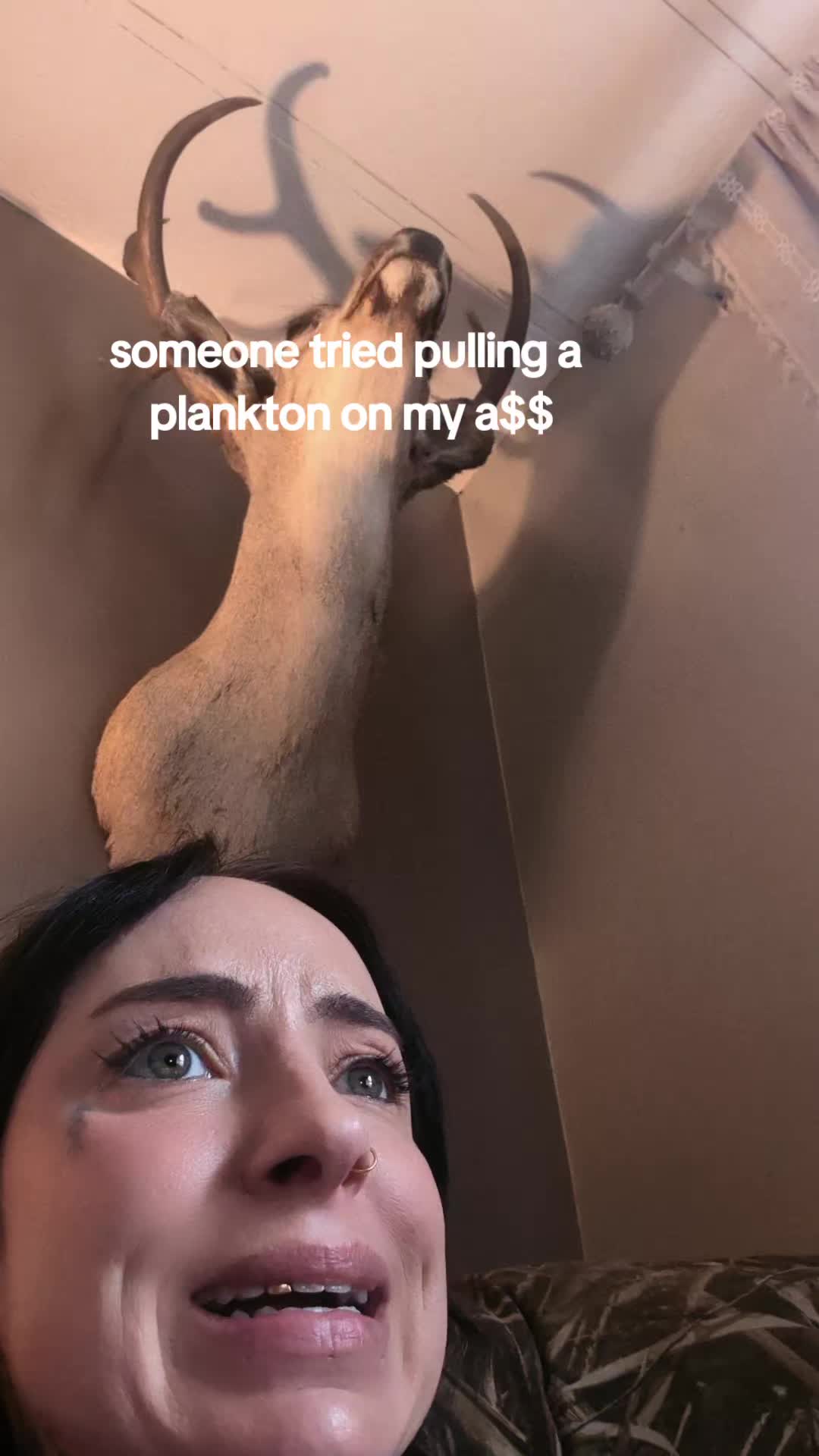 @oreamnosoddities