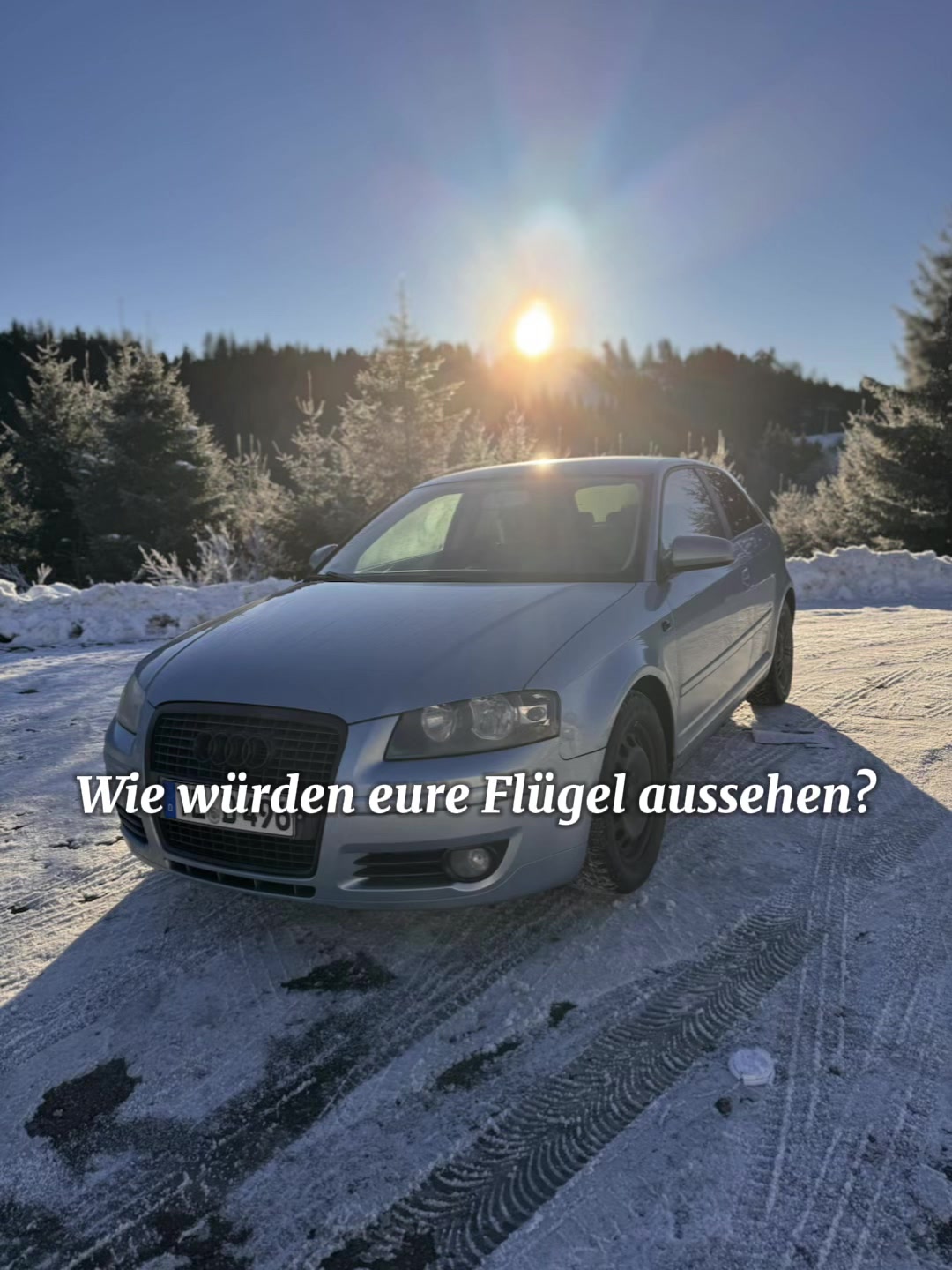 @🚨 Gelblicht Bärchen 🚨