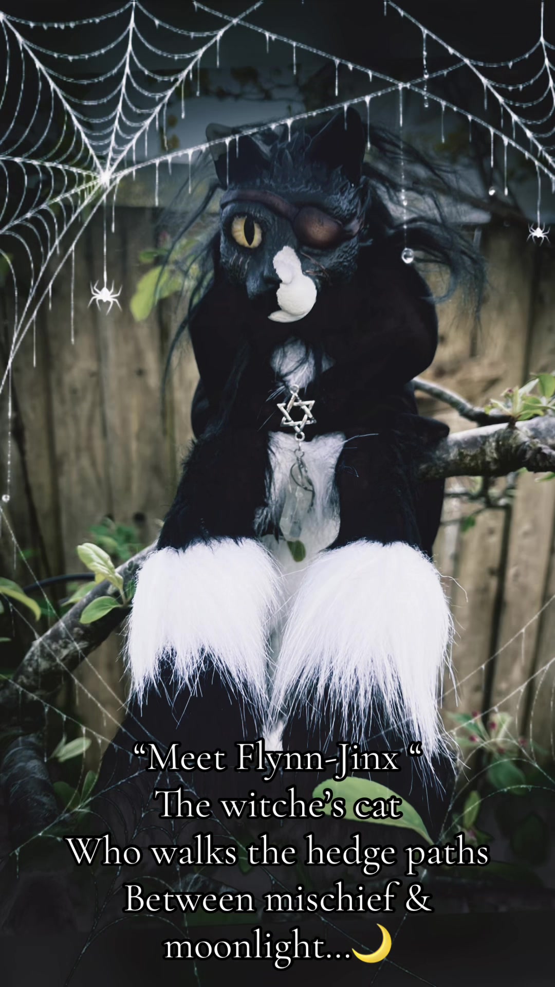 @Spiderwitch fantasy puppets