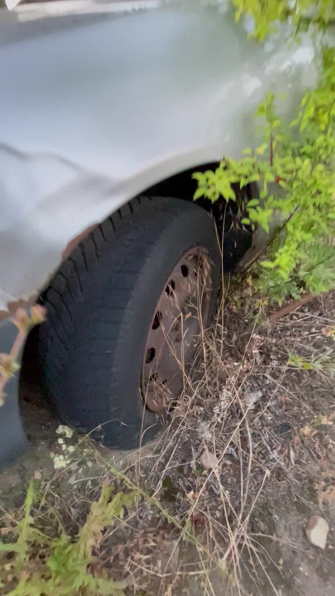 @ForgottenWheels