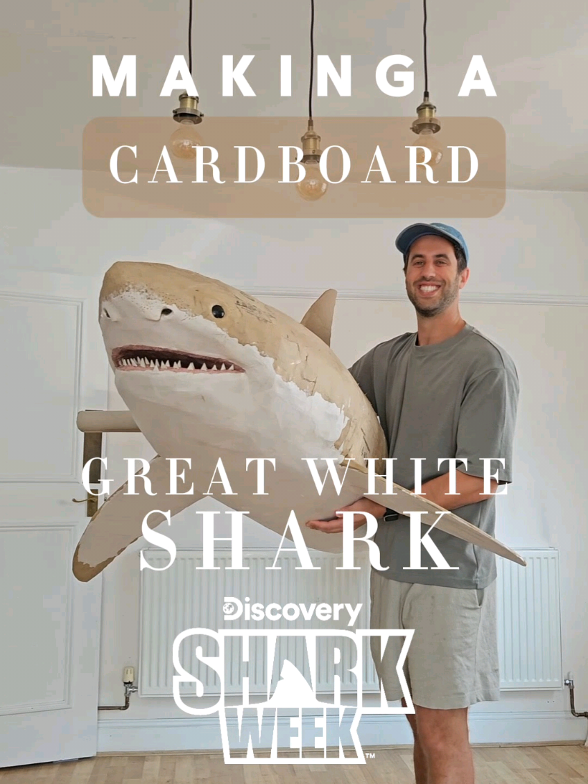@Josh Gluckstein- Cardboard Art