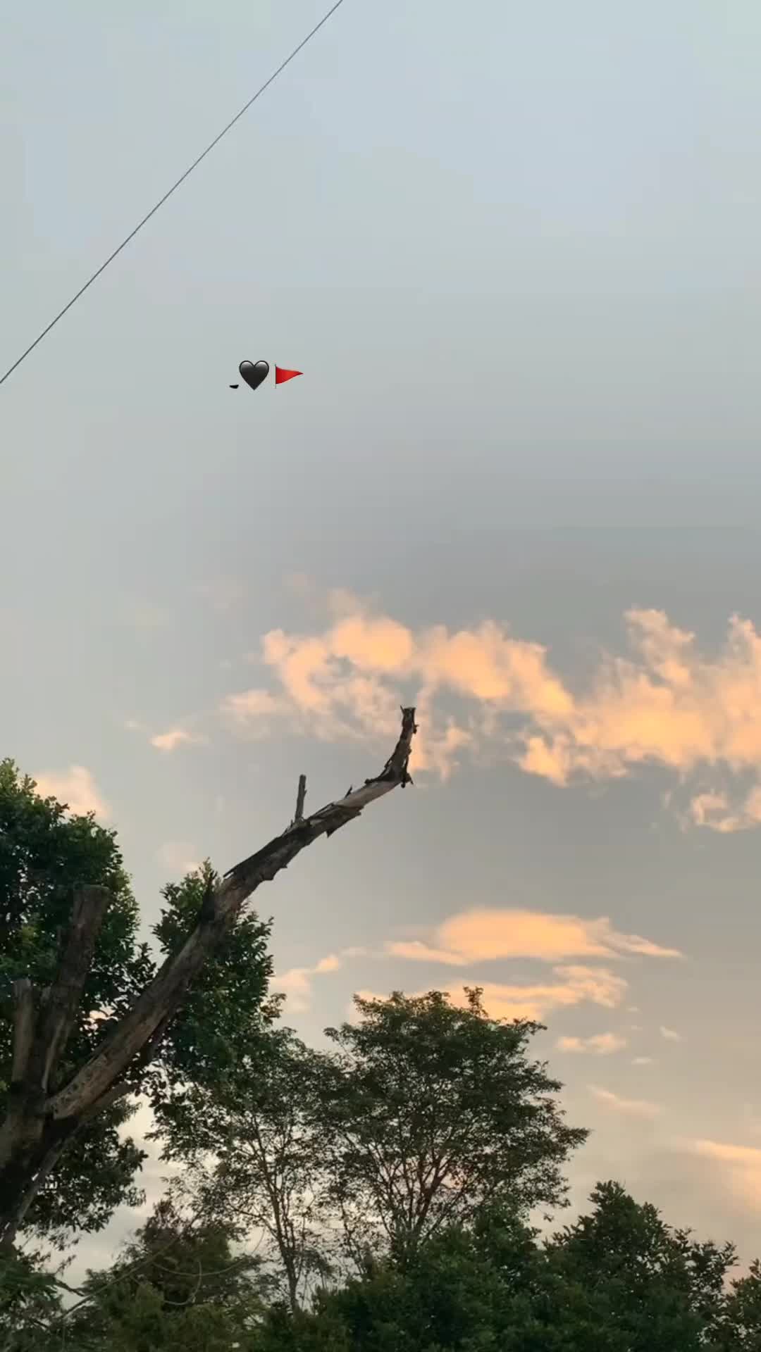 @𝐒 𝐚 𝐌 𝐢 🍂🫀