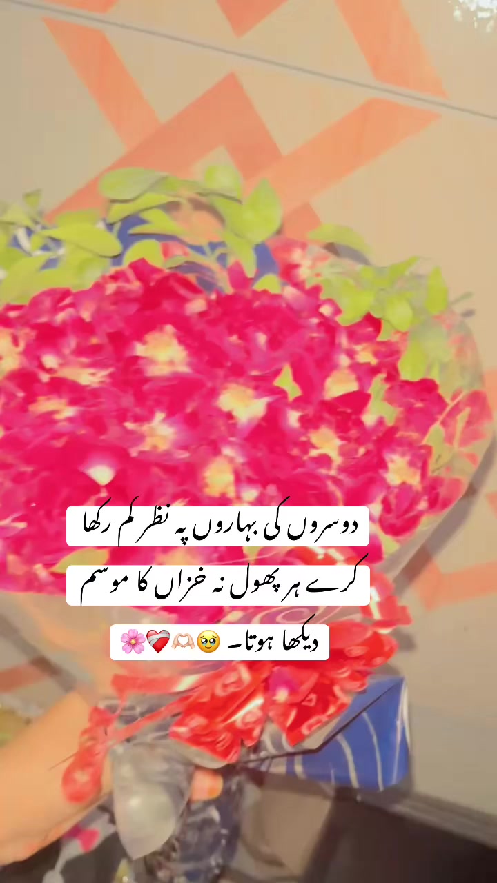 @_hideen_vibes