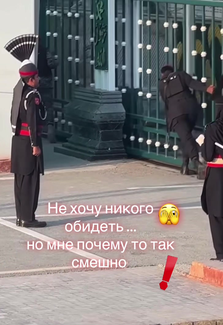 @olga