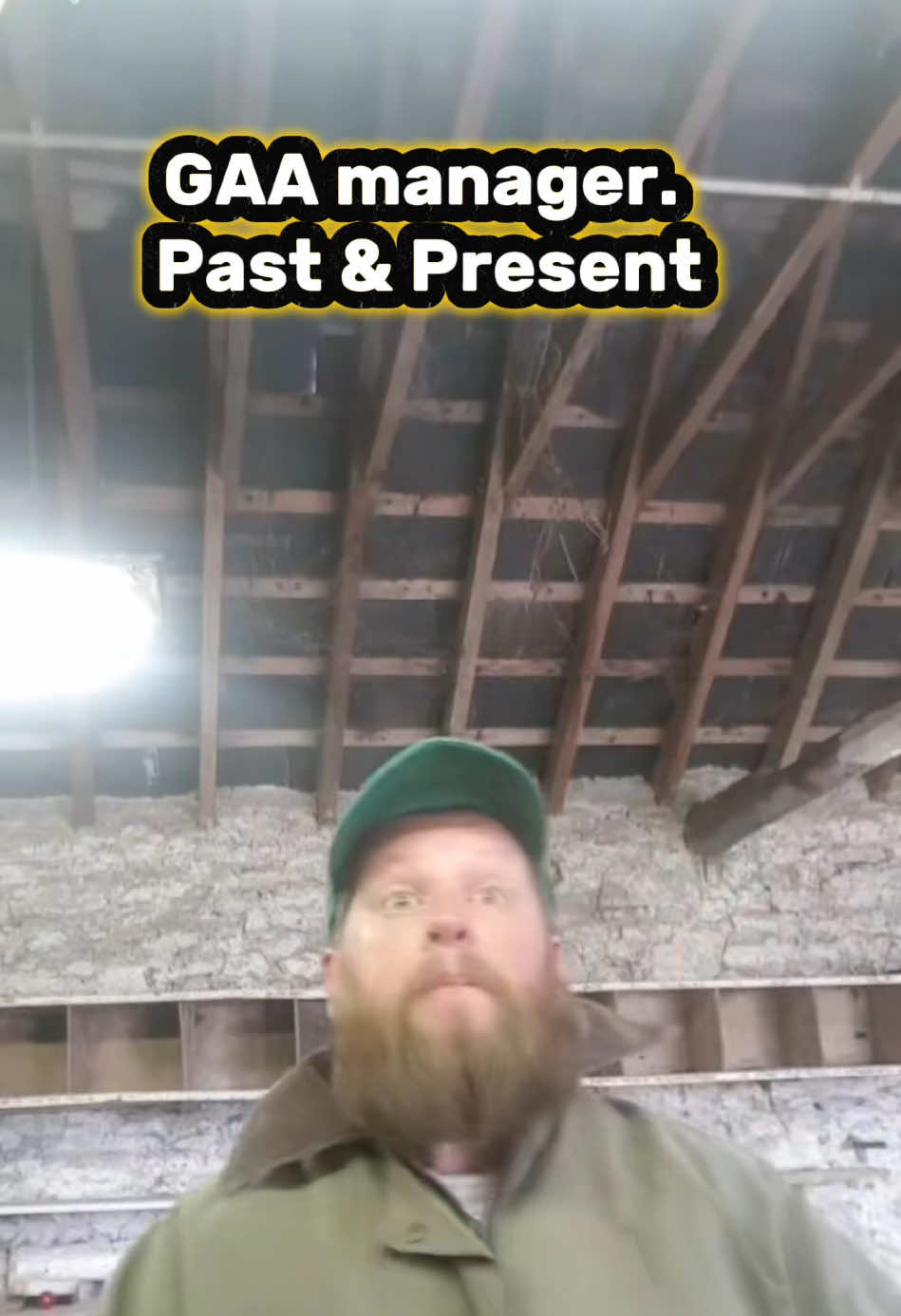 @corneliusthecomic