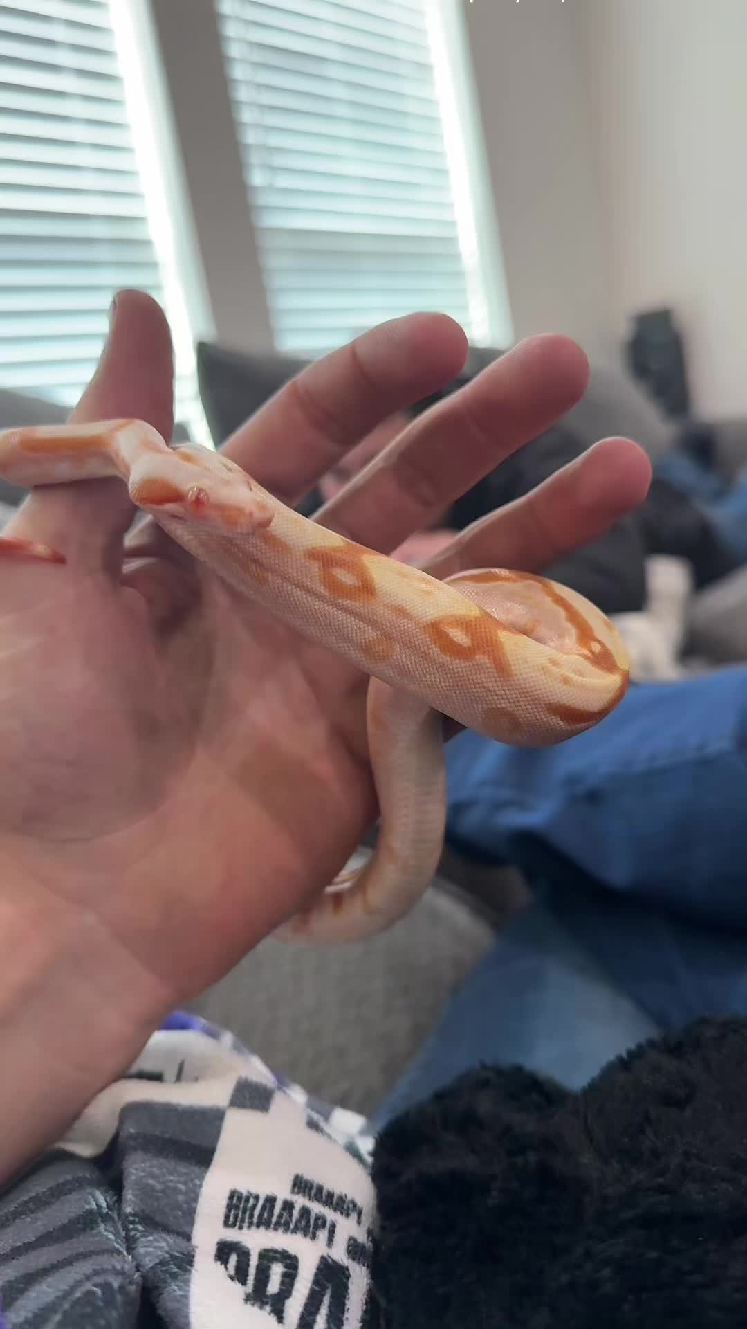 @That Reptile Guy