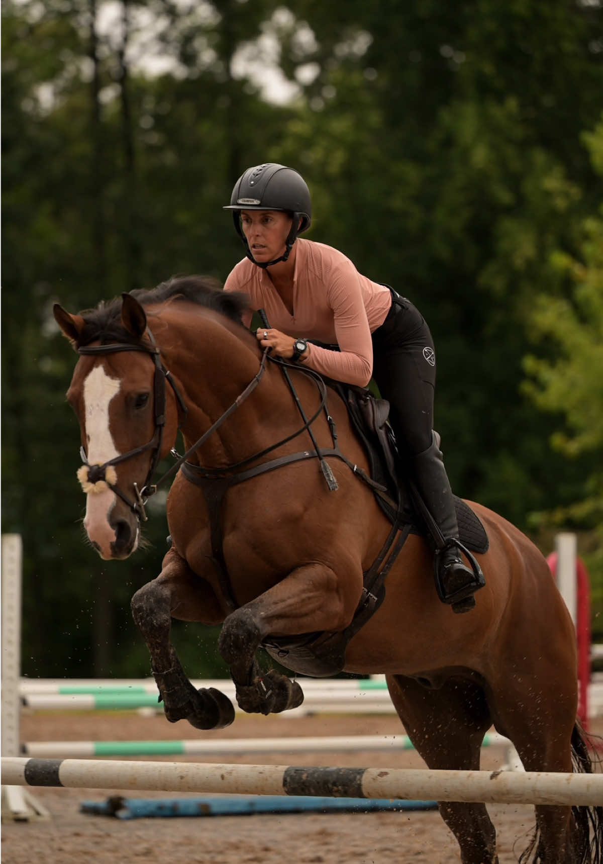 @Free Ride Equestrian