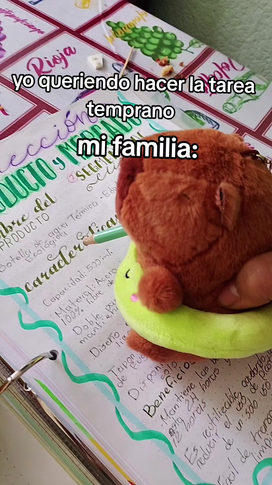 @michpley