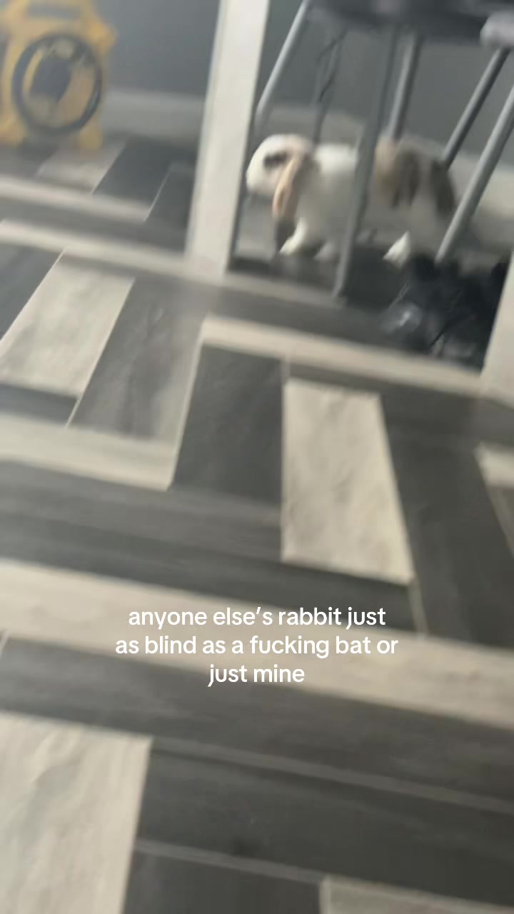 @laylanormanxxx