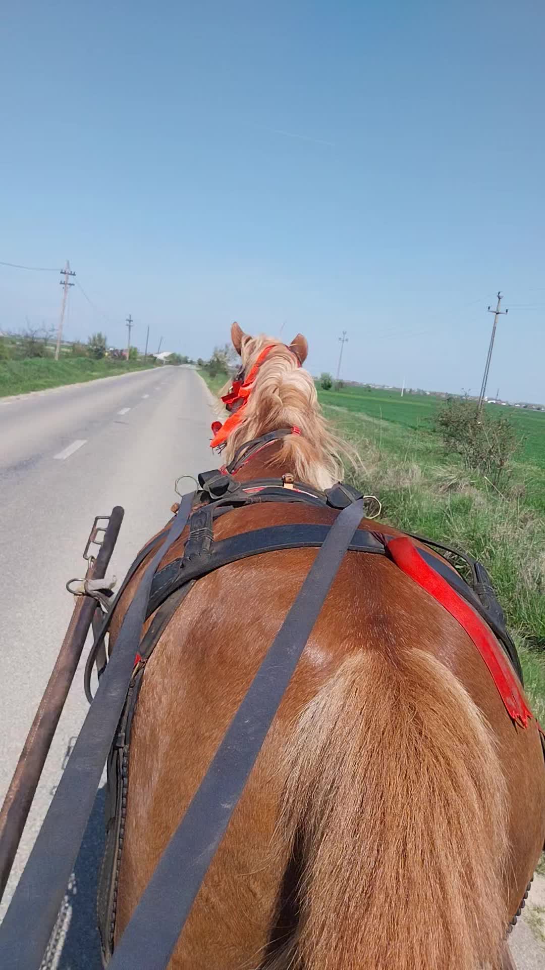 @Ștefăniță Oprea