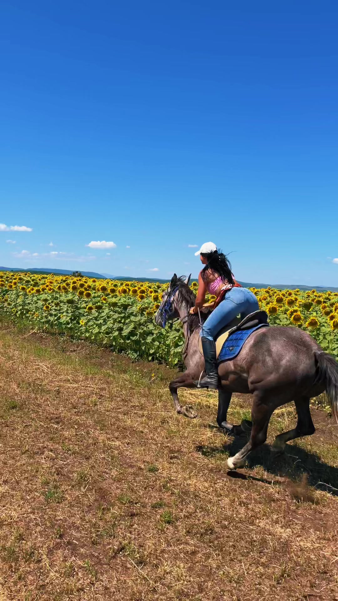 @Alexandra de la Hidalgo 🤠