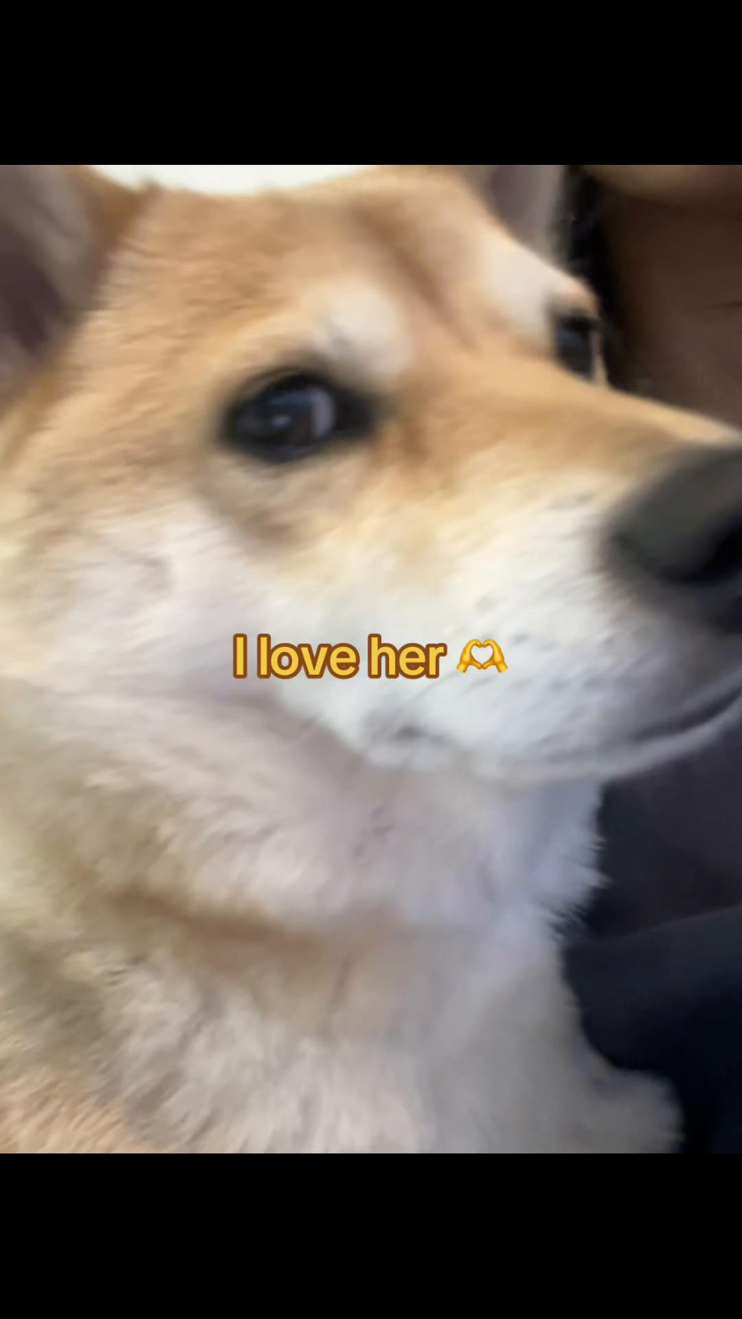 @misterjigglelicious