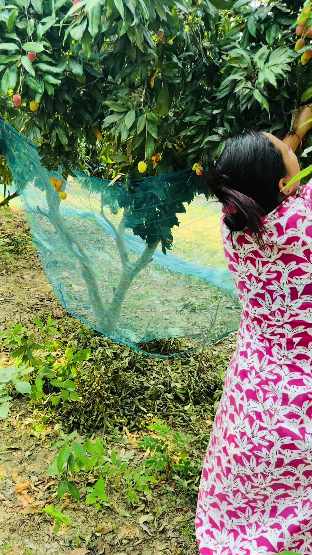 @Bimu Mahara 🧿❤️ 🍒