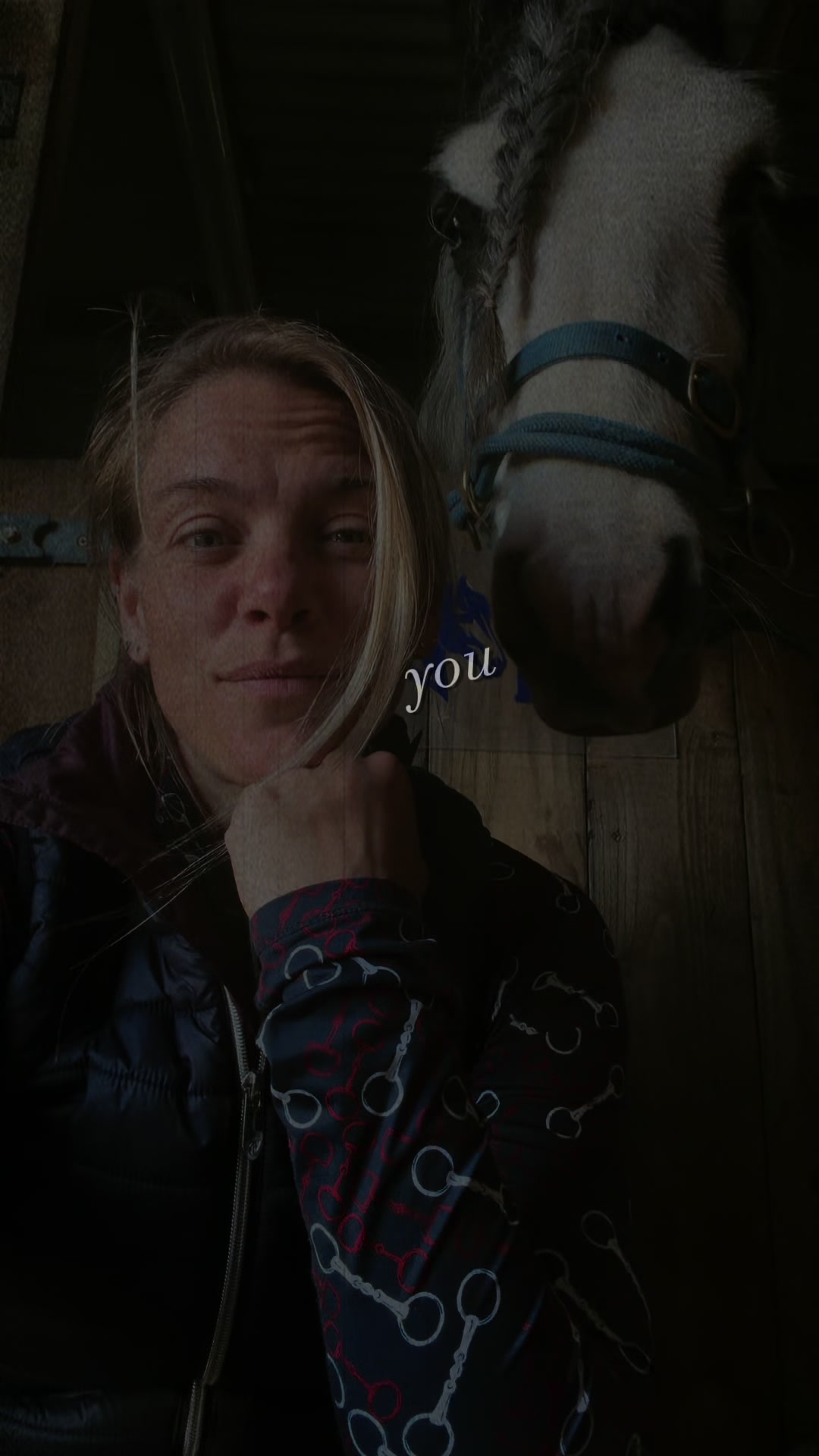 @horsetiktoc