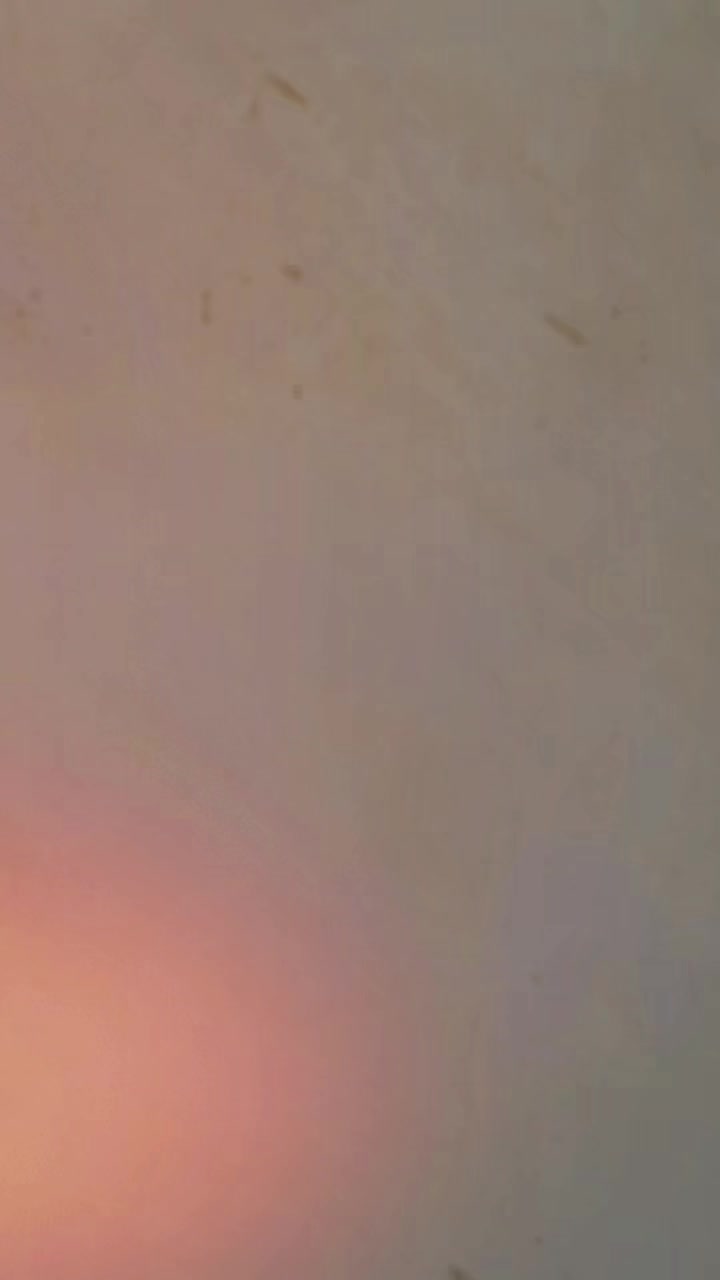 @ê§àŒºðð¡ððð ð ðŠððàŒ»ê§