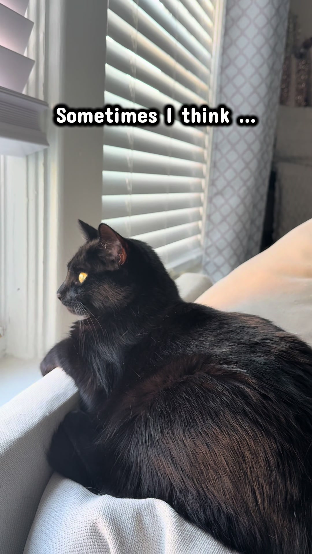 @TailsandWhiskersCo